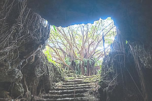 自然の中の神秘的な洞窟