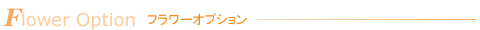 �t�����[�I�v�V����