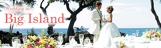 Wedding in Big Island