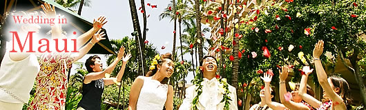 Wedding in Maui