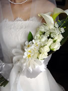 �J���[�ƃz���C�g�΂�ƃv�������A�`�N���b�`